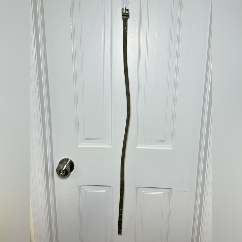 Banana Republic Green Crocodile Belt Size M